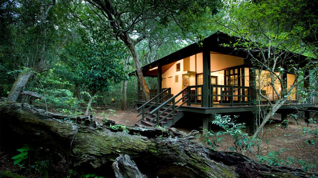 andBeyond Phinda Forest Lodge 