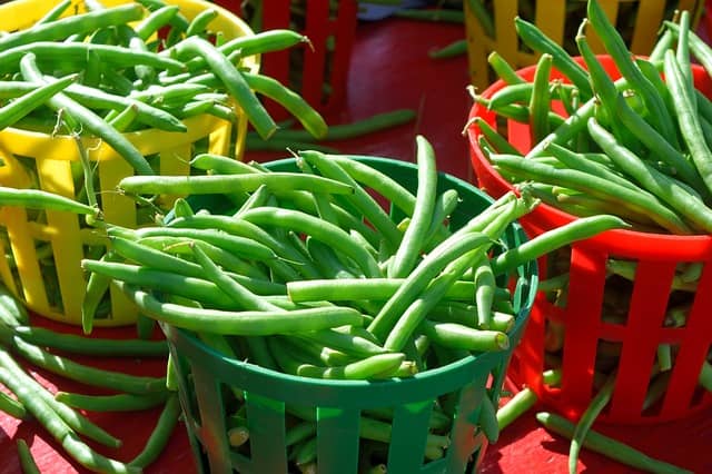 legumes in baskets