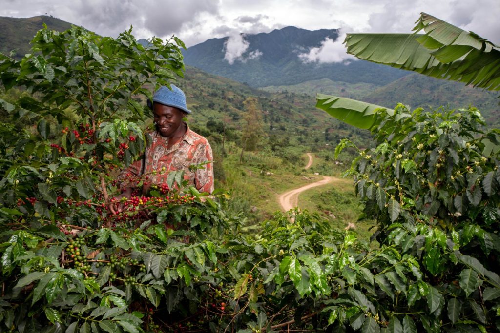 Nespresso has released another single-origin coffee, this time from the depths of Uganda, as part of its Reviving Origins program. 