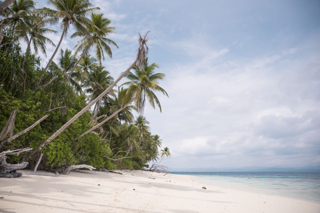 The WWII legacy of the Solomon Islands just might be the key to a brighter future for this remote archipelago, discovers Nick Walton.