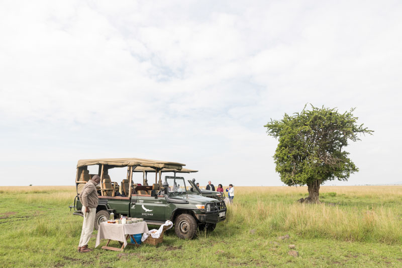 Transcending national borders and points on a map, the Serengeti is a vast, vibrant ecosystem that comes to life with the arrival of the rainy season.