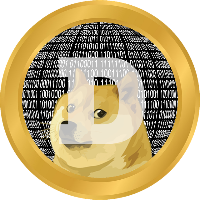 You'd have to live under a rock to not have heard about Dogecoin's meteoric rise. We have a closer look at the cryptocurrency that's turning heads. 