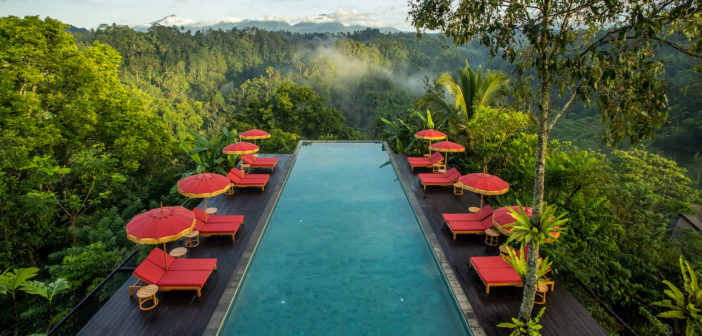 Buahan, a Banyan Tree Escape, is set to breathe new life into Bali's acclaimed wellness scene when it opens in September,