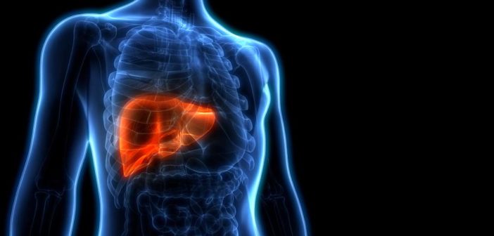 If you've been hitting it a little hard this festive season, it might be time for you to give your liver a chance to play catch up. Here's how.