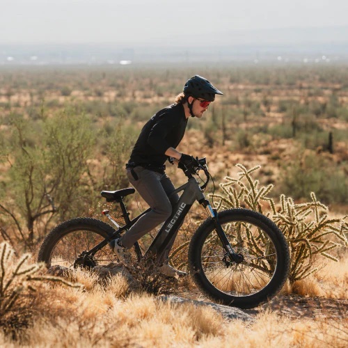 Produced by one of the US' most popular ebike brands, the Lectric XPeak takes ebike off-roading to whole new levels. 